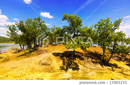 landscape with lake and oaks landscape with lake and oaks 17003255