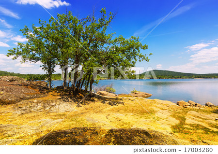 Sunny landscape with lake Sunny landscape with lake 17003280