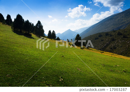highland meadow highland meadow 17003287