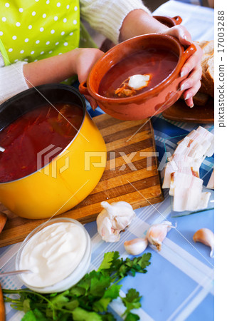 Traditional Russian hot soup borsch 17003288