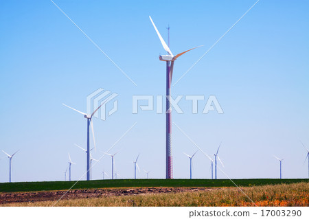 Wind Turbines at farmland 17003290