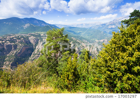 Summer view of mountains Summer view of mountains 17003297