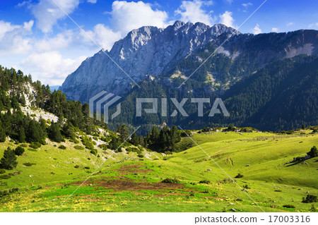 Mountain meadow against rock mount Mountain meadow against rock mount 17003316