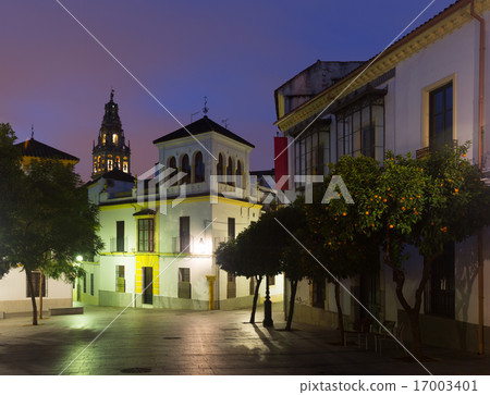 Square at historical part of Cordoba Square at historical part of Cordoba 17003401