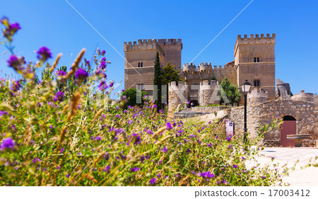 Medieval castle of Ampudia 17003412