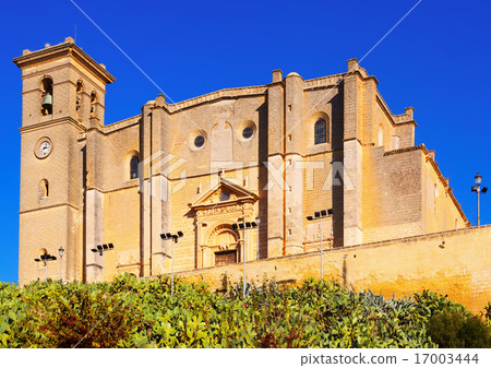 Collegiate church of Osuna 17003444