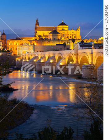 Roman bridge and Mosque-cathedral of Cordoba in night Roman bridge and Mosque-cathedral of Cordoba in night 17003460