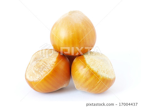 hazelnuts hazelnuts 17004437