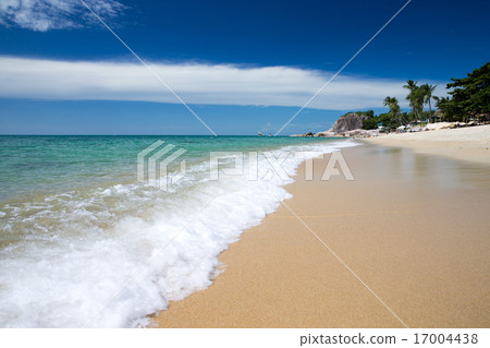 sea sea 17004438