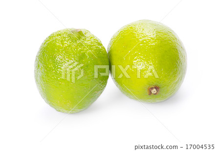 lime lime 17004535
