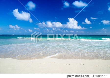 sea sea 17004538