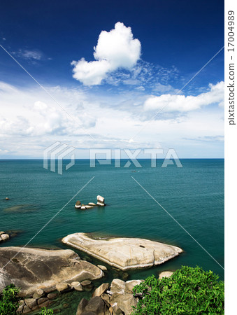 sea 17004989