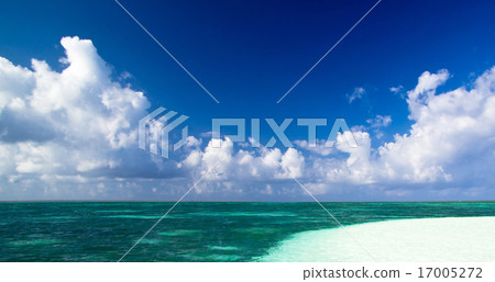 beach 17005272