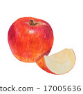 Watercolor colored pencils apple  17005636