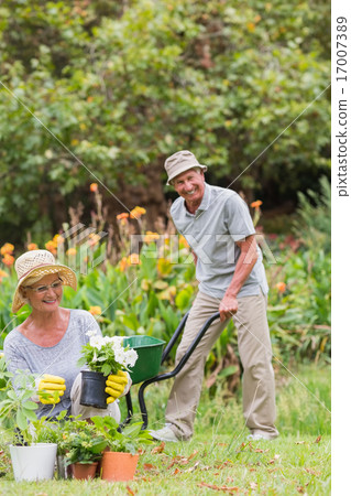Happy grandmother and grandfather gardening Happy grandmother and grandfather gardening 17007389