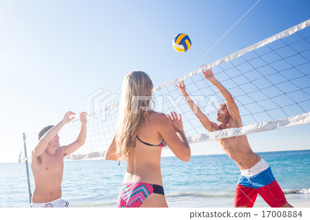 Group of friends playing volleyball 17008884