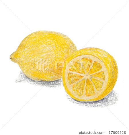 Hand drawn colored pencils lemon sketch with shadow 17009328