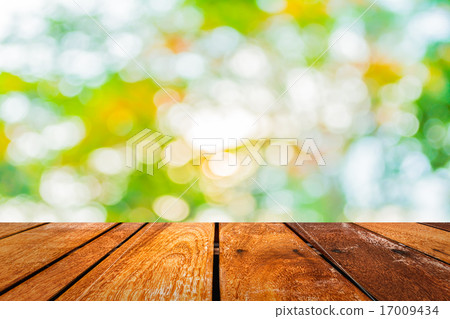 blur image of Abstract Bokeh of tree green color background. blur image of Abstract Bokeh of tree green color background. 17009434