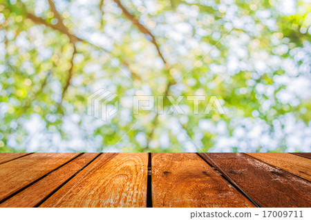 Abstract Bokeh of tree color background Abstract Bokeh of tree color background 17009711