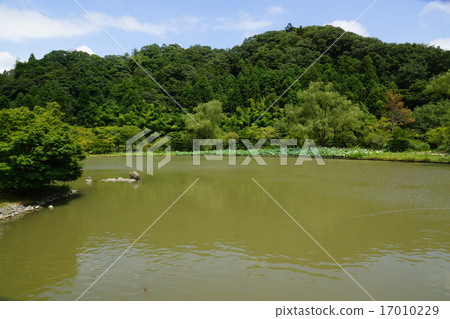 仲夏白水阿彌陀佛的淨土花園 17010229