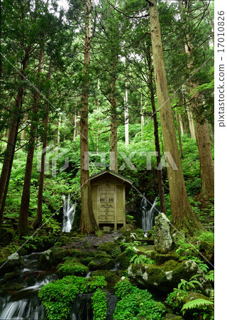 Waterfall at the waist 17010826