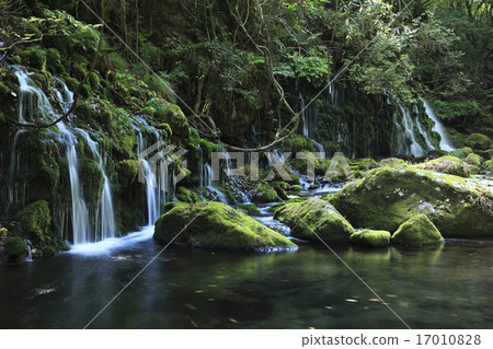 Motoyuki underwater water 17010828