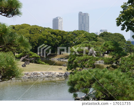 Hamarikyu Garden Hamarikyu Garden 17011735