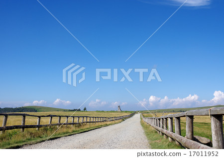 Mikigahara ranch (promenade) 17011952