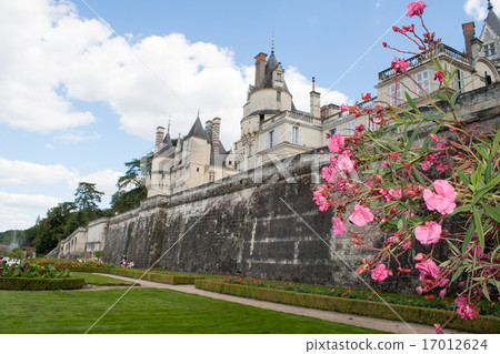 castle in the Loire Valley region of France castle in the Loire Valley region of France 17012624