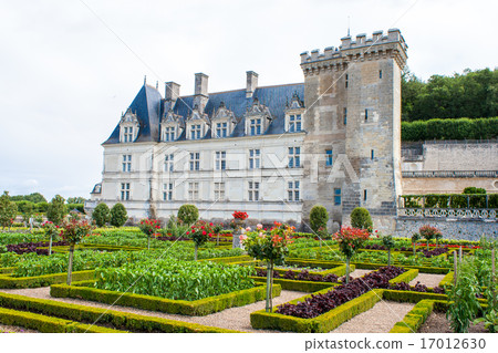 castle gardens with boxwood and vegetables flowers castle gardens with boxwood and vegetables flowers 17012630