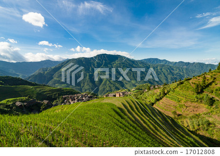 Longsheng rice terraces guilin china landscape 17012808