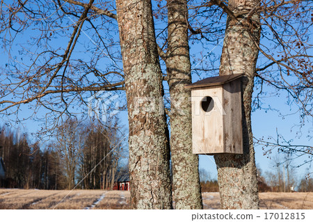 Waterfowl birdhouse on tree 17012815