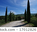 Orcia valley's highway 17012826