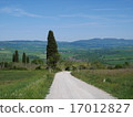 Orcia valley's highway 17012827