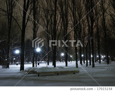 City winter park at night 17015238