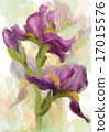Iris flowers. Vector 17015576