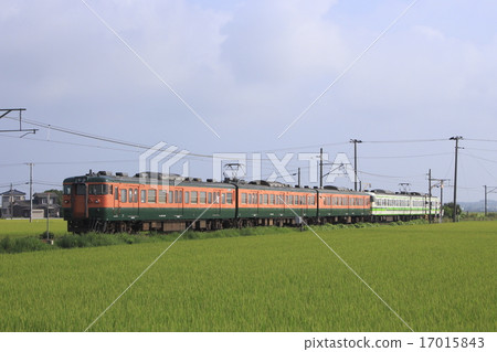 越後線115系列（5輛：信越本線直達） 17015843