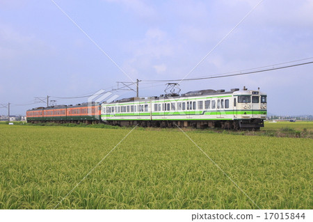 越後線115系列(5輛:信越本線直達) 越後線115系列(5輛:信越本線直達) 17015844