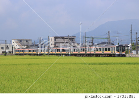 盛夏時節停泊在越後赤塚站的越後線 E129 系列車(發售時為 6 輛車) 盛夏時節停泊在越後赤塚站的越後線 E129 系列車(發售時為 6 輛車) 17015885