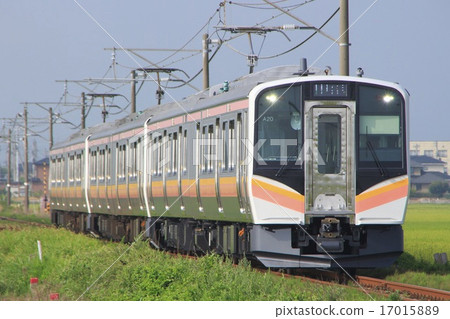 初夏越後線E129系列（6輛：在出現時） 17015889