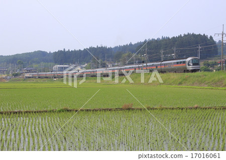 睡覺限製表達仙后座在櫪木縣 睡覺限製表達仙后座在櫪木縣 17016061