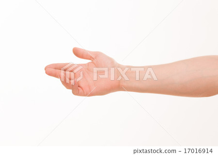Man's hand 17016914