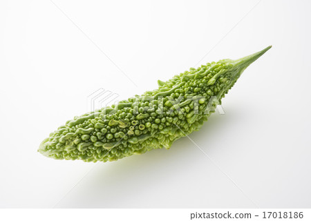 Bitter gourd Bitter gourd 17018186