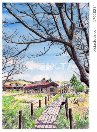 水彩畫Yashima Mogara 水彩畫Yashima Mogara 17018254