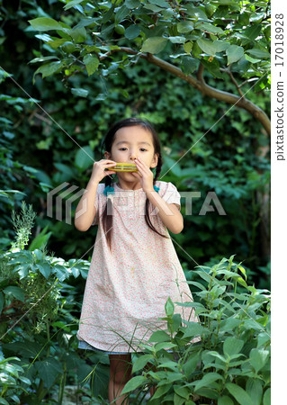吹野餐口琴的女孩 17018928