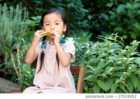 Girls blowing picnic harmonica 17018952
