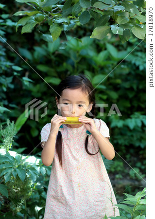 吹野餐口琴的女孩 吹野餐口琴的女孩 17018970