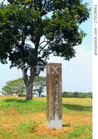 桃園東原遺址 17019661