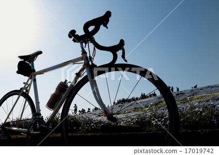Cycling 17019742