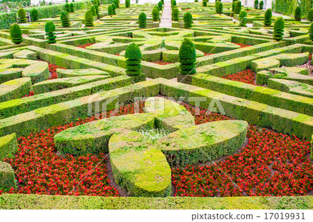 castle gardens with boxwood and vegetables flowers castle gardens with boxwood and vegetables flowers 17019931